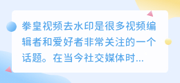 拳皇视频去水印