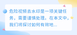危险视频去水印