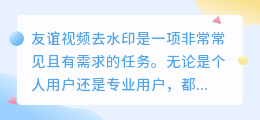 友谊视频去水印
