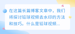 铅球视频去水印