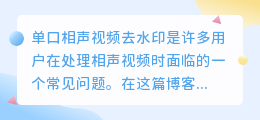 单口相声视频去水印