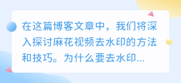 麻花视频去水印