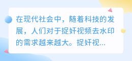 捉奸视频去水印