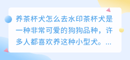 养茶杯犬怎么去水印