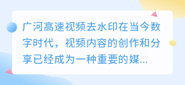 广河高速视频去水印