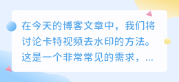 卡特视频去水印