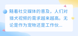猎犬视频去水印