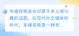 车模视频去水印