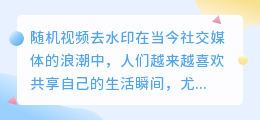随机视频去水印