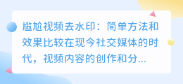 尴尬视频去水印