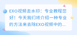 EXO视频去水印