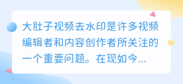 大肚子视频去水印