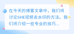 SHE视频去水印