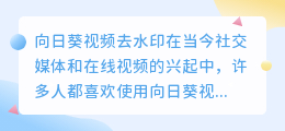 向日葵视频去水印