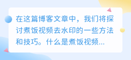 煮饭视频去水印