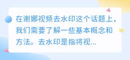 谢娜视频去水印