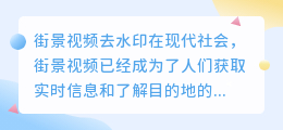 街景视频去水印