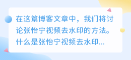 张怡宁视频去水印