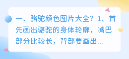 骆驼颜色图片大全?