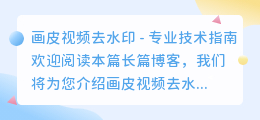 画皮视频去水印