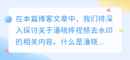 潘晓婷视频去水印