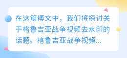 格鲁吉亚战争视频去水印