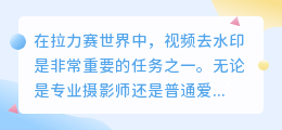 拉力赛视频去水印