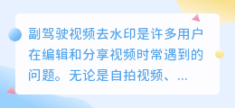 副驾驶视频去水印