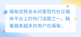 缅甸视频去水印