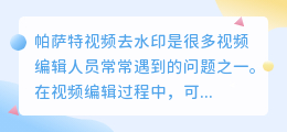 帕萨特视频去水印