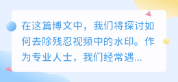残忍视频去水印