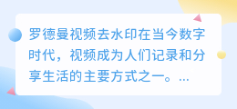 罗德曼视频去水印