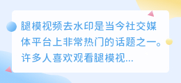 腿模视频去水印