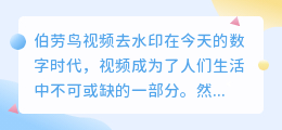 伯劳鸟视频去水印