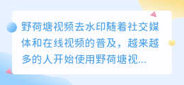 野荷塘视频去水印