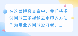 网球王子视频去水印