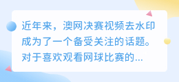 澳网决赛视频去水印