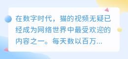 猫的视频去水印