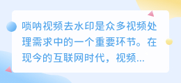 唢呐视频去水印
