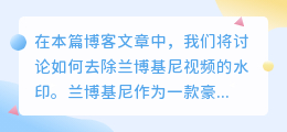 兰博基尼视频去水印