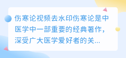 伤寒论视频去水印