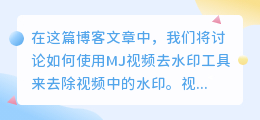 MJ视频去水印