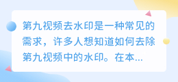 第九视频去水印