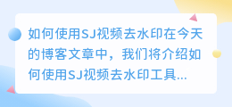 SJ视频去水印