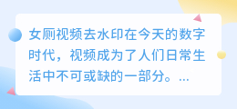 女厕视频去水印