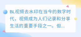 BL视频去水印