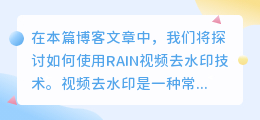 RAIN视频去水印
