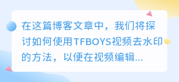 TFBOYS视频去水印