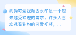 狗狗可爱视频去水印