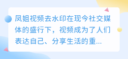 凤姐视频去水印